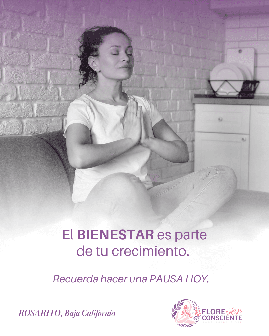 Proyecto Natsu 7
